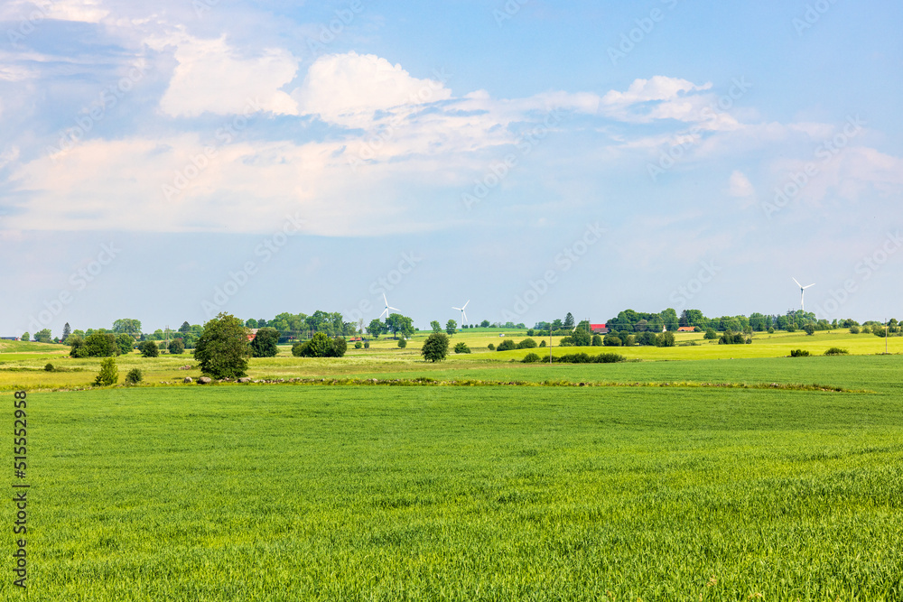 Landscape view with a green fields in the countryside