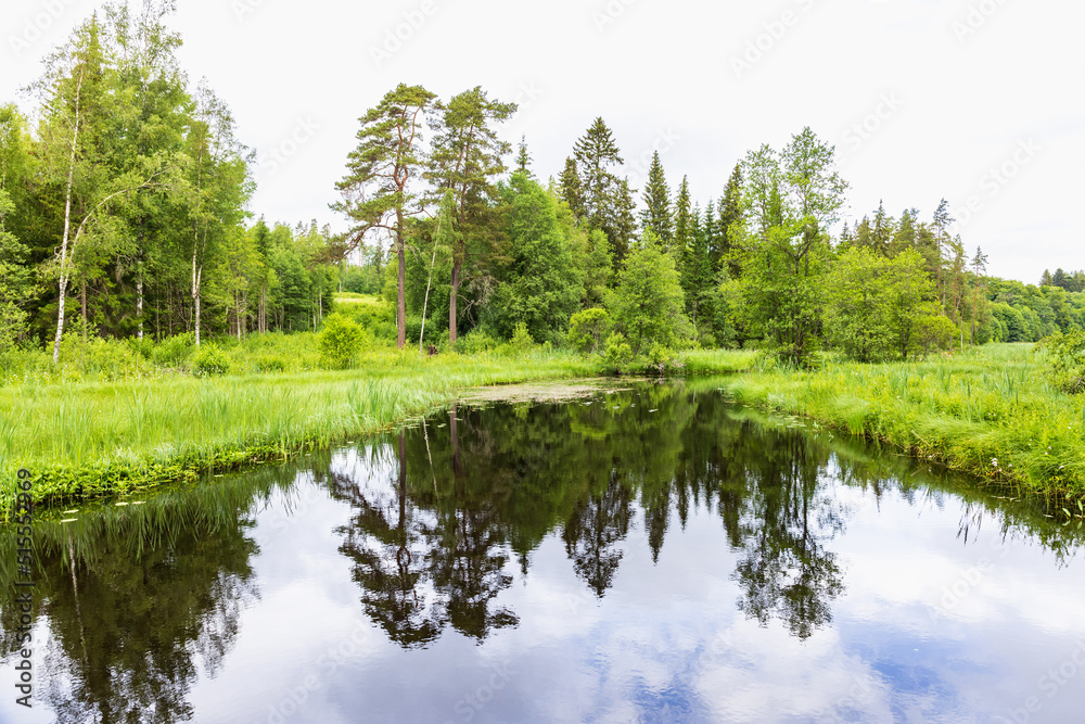 Lake with water reflections at a forest