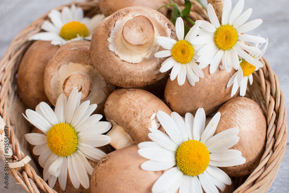 Gray mushrooms are champignons in a basket. Decorated with field daisies Gray mushrooms are champignons in a basket. Decorated with field daisies