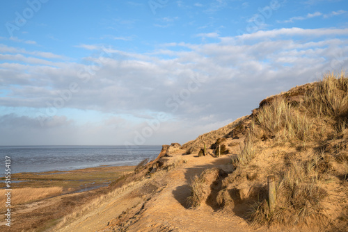 Coastline of Sylt  North Frisia  Germany