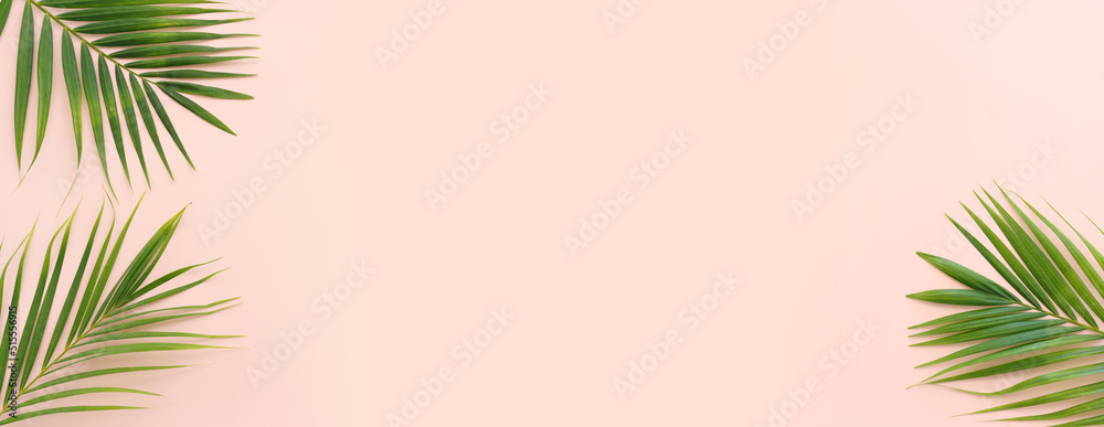 Image of tropical green palm over pink pastel background