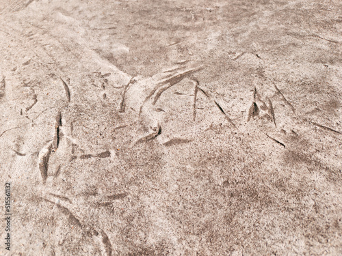 Classic gray concrete floor used to decorate the background.