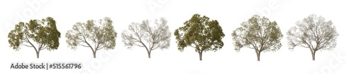 Multi-season trees on a white background.