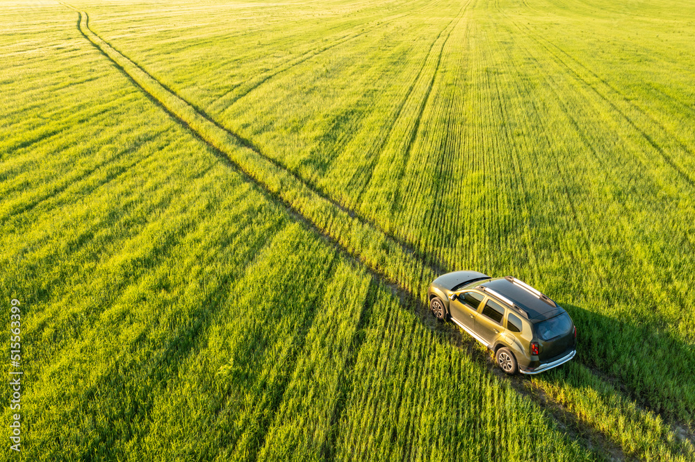 Aerial view of Renault Duster car SUV driving on countryside road in spring field rural landscape. Car driving on corn maize plantation.