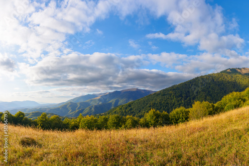 mountainous countryside landscape at sunset. wonderful autumnal countryside scenery. meadows and forested hills. valley and ridge in the distance beneath a sky with fluffy clouds in evening light