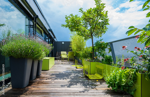 Photography Rooftop terrace over southern Vienna - rooftop garden with lavender and an apple