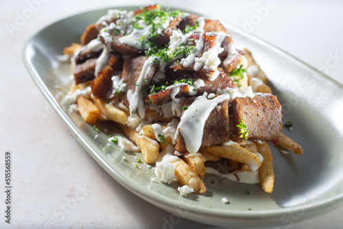 A view of a plate of beef shawarma fries.