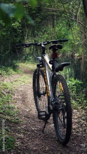 bike in the forest