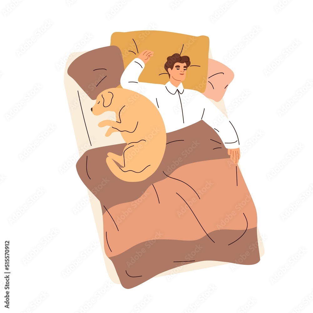 Man and cute dog sleeping in bed together. Sleepy person asleep, lying