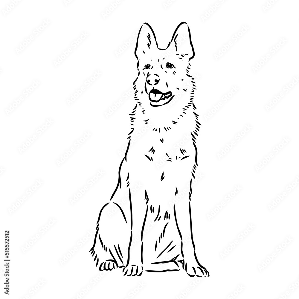 Fototapeta premium pedigree dog drawn in ink by hand without a background