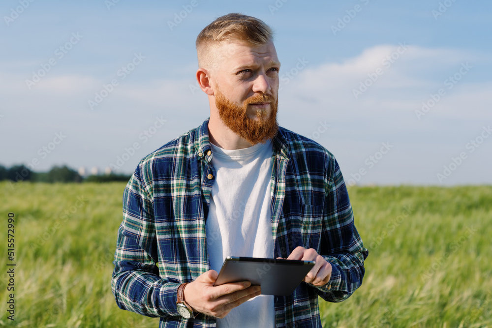 A male agronomist with a beard and a plaid shirt walks through a field with wheat with a tablet during an inspection. Against the backdrop of a megapolis A male agronomist with a beard and a plaid shirt walks through a field with wheat with a tablet during an inspection. Against the backdrop of a megapolis