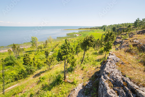  Beautiful view of Muhu Island coastline, Estonia photo