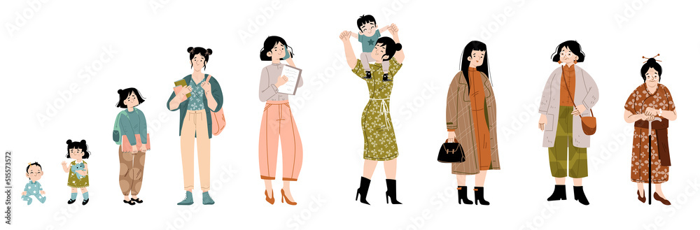 Asian woman life cycle, female character ages lifespan. Newborn baby, toddler, school child, student teenager, mother, mature and elderly person grow stages, Linear cartoon flat vector illustration Asian woman life cycle, female character ages lifespan. Newborn baby, toddler, school child, student teenager, mother, mature and elderly person grow stages, Linear cartoon flat vector illustration