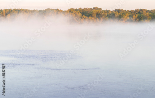 dense fog on a calm river with trees
