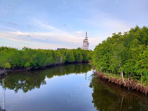 Landscape with the tower in the mangrove park