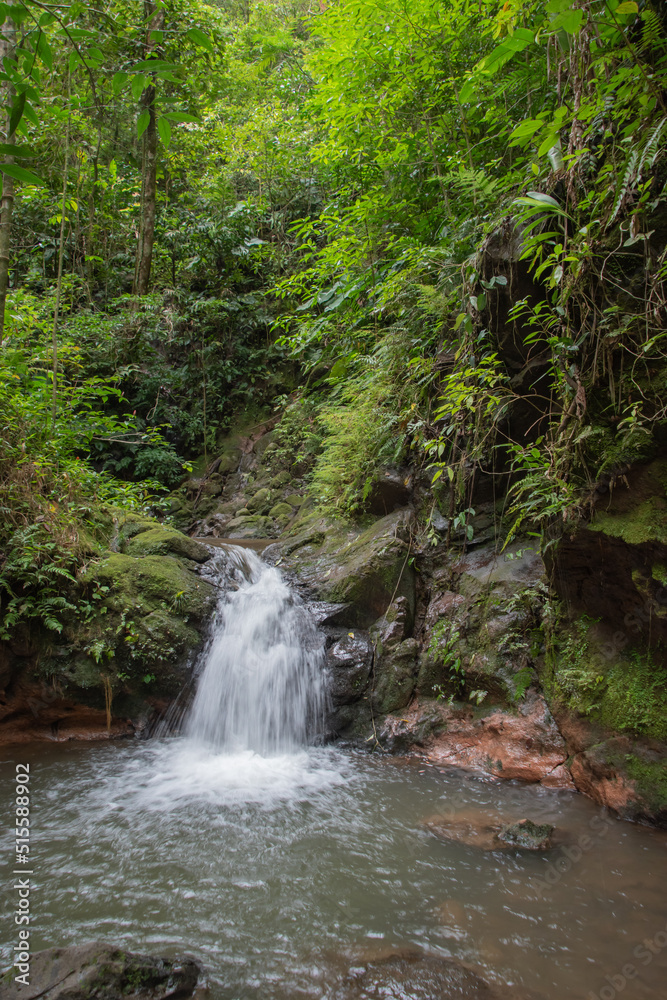 More rain but more green vegetation in the rainy season in Costa Rica. It is a paradise for nature lovers.