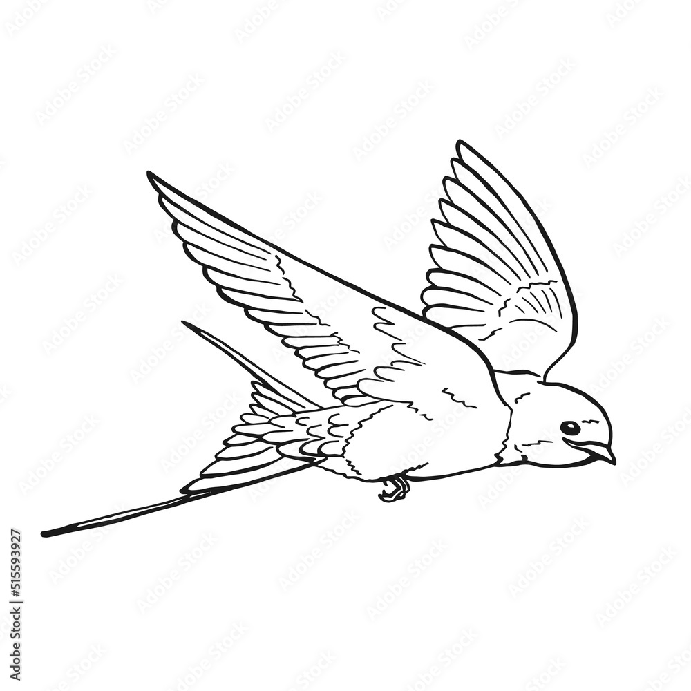 Flying swallow. Hand drawn illustration converted to vector. Flying swallow. Hand drawn illustration converted to vector.