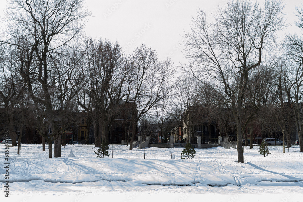 Naklejka premium montreal or quebec