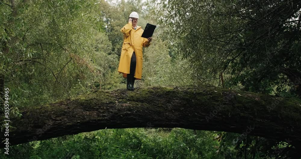 Specialist in a protective helmet and a yellow raincoat from the environmental service stands on a fallen tree, a man condemns on the phone how to remove a tree felled by the wind