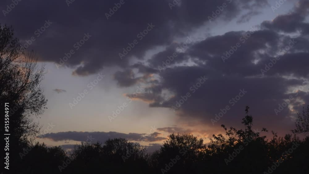 Dark silhouettes of trees against the background of evening rain clouds.
