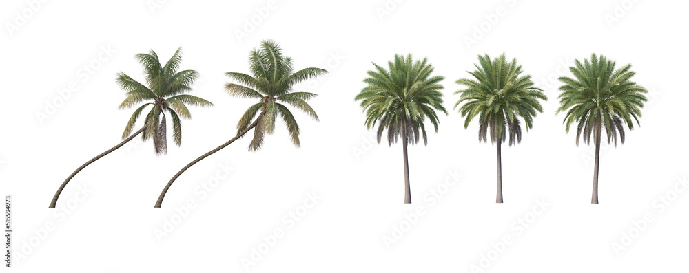 custom made wallpaper toronto digitalMany trees on a white background