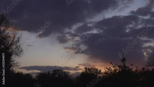 Dark silhouettes of trees against the background of evening rain clouds.