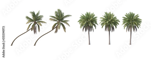 Many trees on a white background