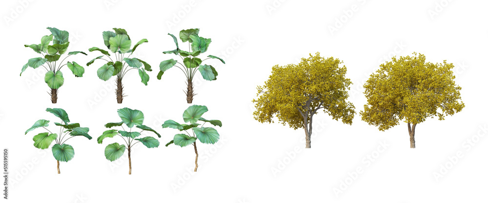 Fototapeta premium Many trees on a white background