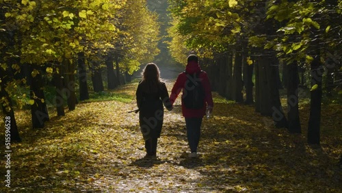 Peterhof in autumn, Nizhniy Park. A couple in love is walking down the alley.