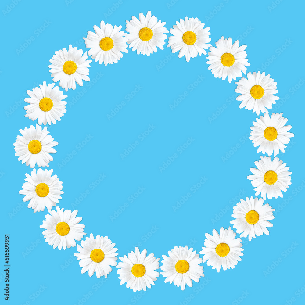 Circle frame made from daisies on blue