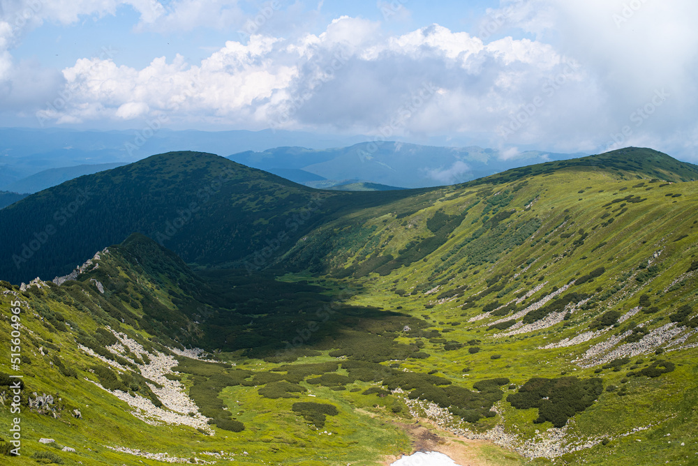 Alpine meadow landscape in summer Alpine meadow landscape in summer