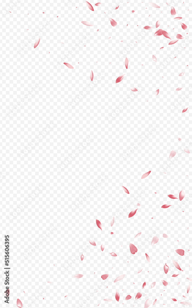 Pink Floral Japan Vector Transparent Background.