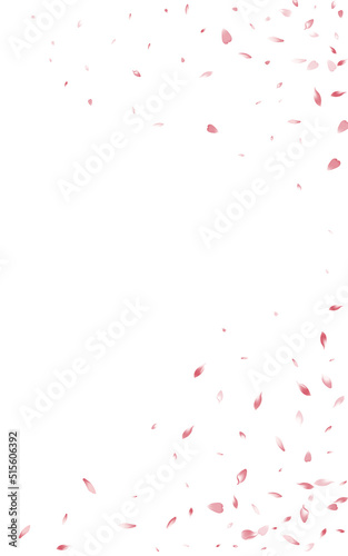 Pink Rose Fly Vector White Background. Fall © Natallia
