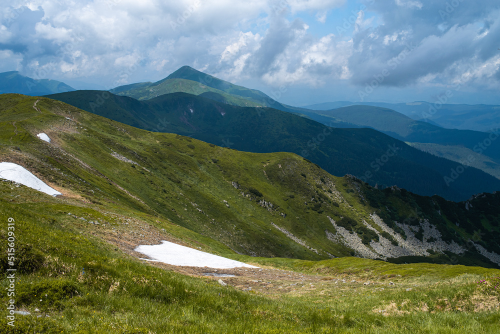 Fototapeta premium Alpine meadow landscape in summer
