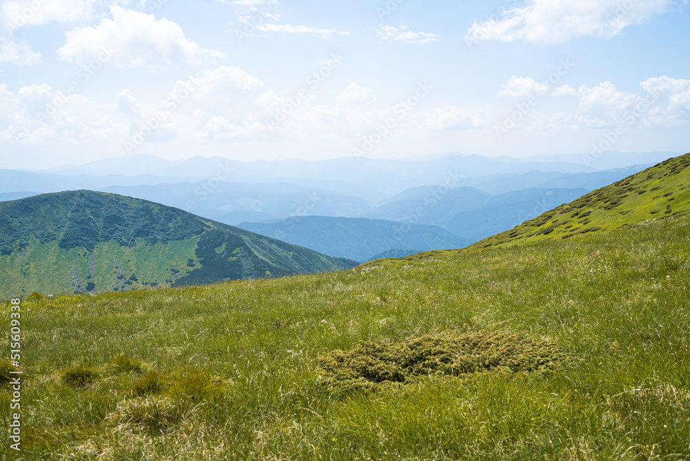 Alpine meadow landscape in summer Alpine meadow landscape in summer