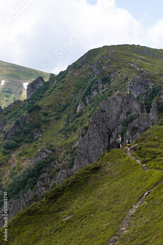 Mountain hiking. Beautiful mountain views. Coniferous forests and alpine meadows