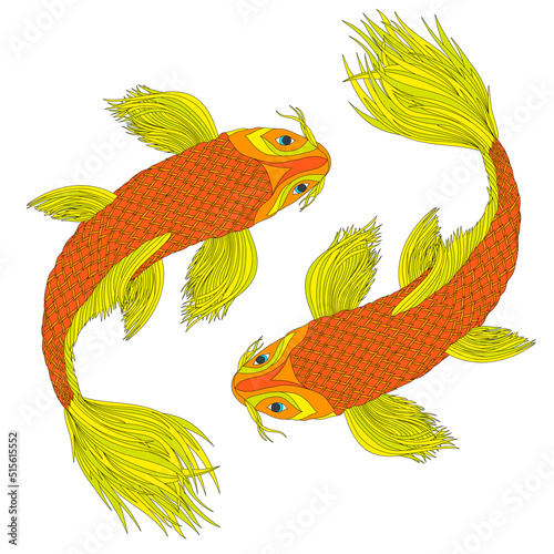 Two Japanese carps in the style of feng shui symbols. Colored Pisces as a zodiac sign. Color illustration.
