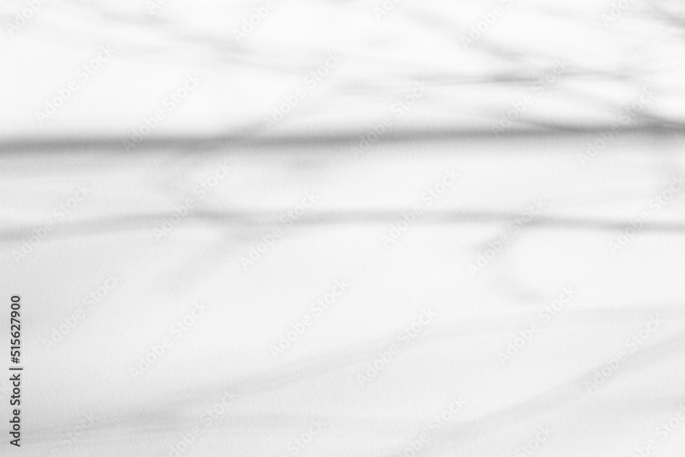 Organic shadow on white wall, overlay effect for photo, mockups, posters, stationery, wall art, design presentation. Perfect backdrop for a presentation. Copy space Organic shadow on white wall, overlay effect for photo, mockups, posters, stationery, wall art, design presentation. Perfect backdrop for a presentation. Copy space
