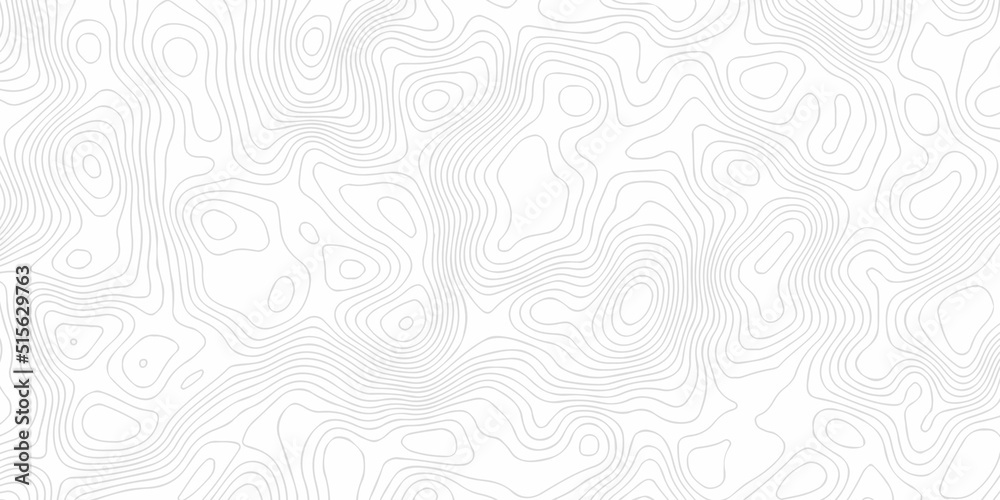 Topographic background and texture, monochrome image. 3D waves. Cartography Background, White wave paper curved reliefs abstract background.	
