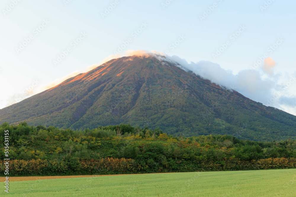 Naklejka premium 秋が訪れた夕日に染まる羊蹄山
