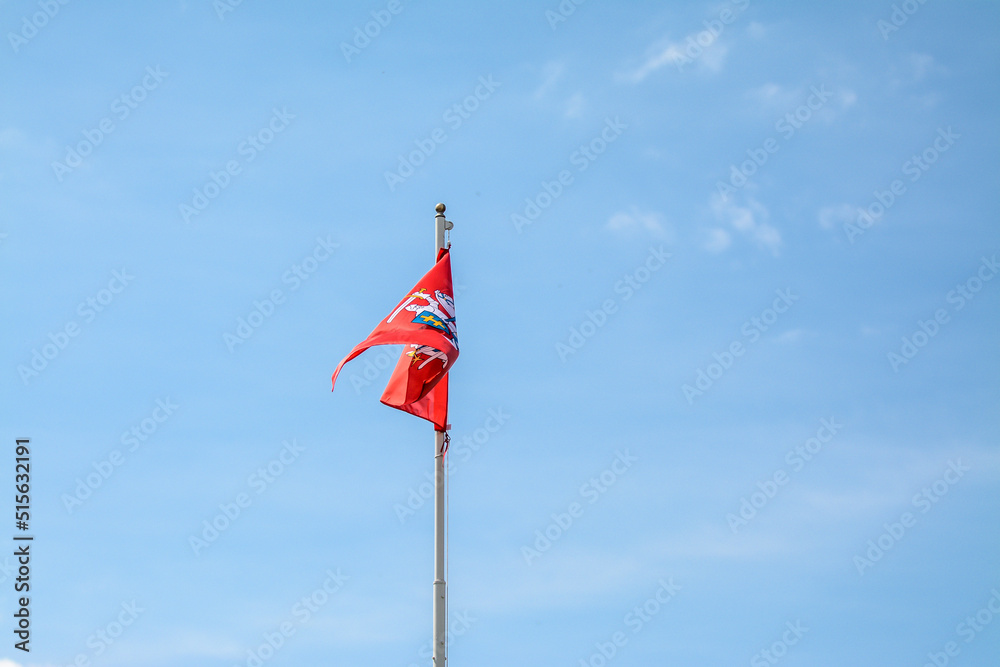 Fototapeta premium Flag with Lithuanian herb, blue sky in the background