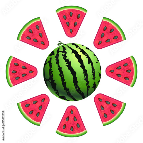Watermelon and a piece of watermelon on a white background. Isolated image, vector drawing.