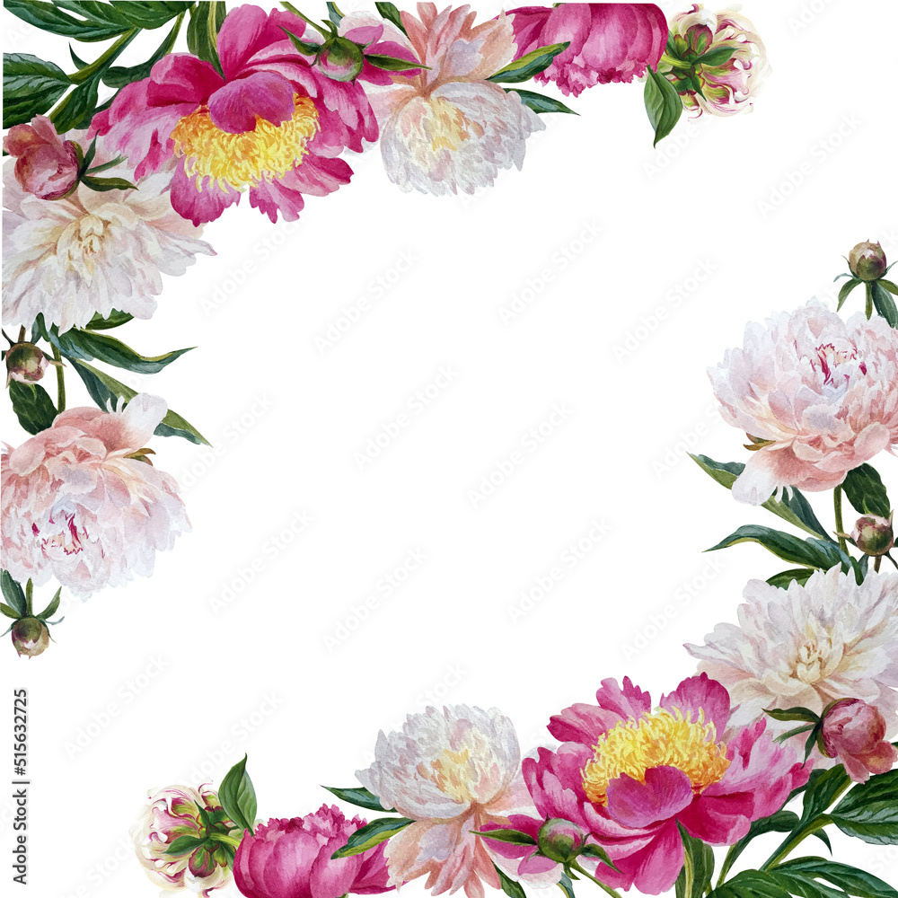 watercolor frame with summer flowers - colorful peonies in botanical style