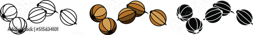 Stylized in a realistic manner image of coriander seeds. Coriander icon, vector linear illustration made on a white background.
