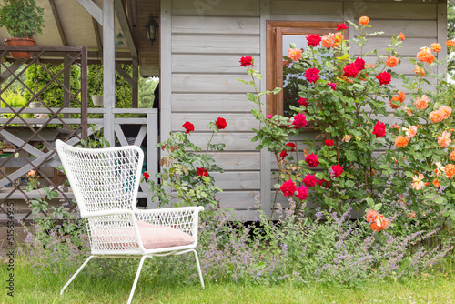 Tableau sur toile Roses and herb garden outside a country house, red ang orange roses bush