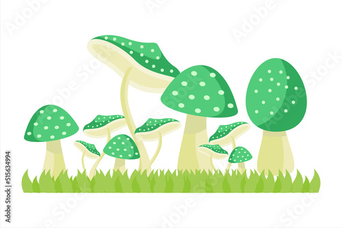 Set of mushrooms. Collection of different mushrooms. Mushrooms vector illustration