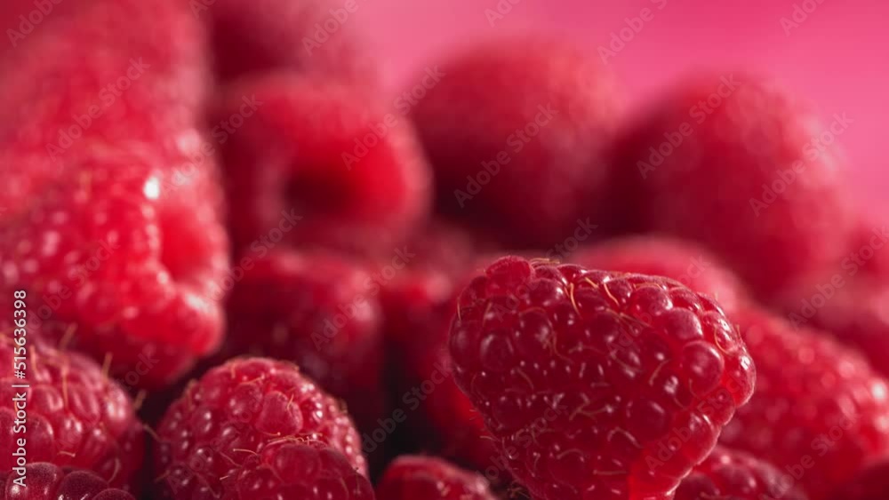 Ripe juicy Raspberry rolling above many Raspberries Ripe juicy Raspberry rolling above many Raspberries