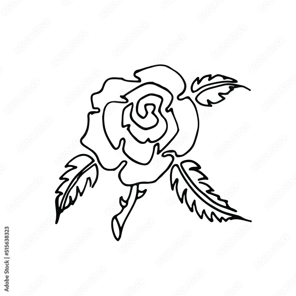 Hand drawn rose, line art. Vector doodle illustration