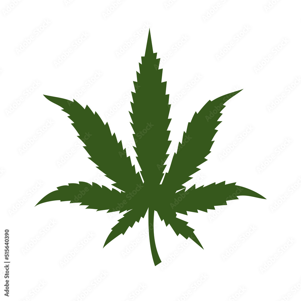 Marijuana green leaf. Medical cannabis vector isolated on white. Marijuana green leaf. Medical cannabis vector isolated on white.