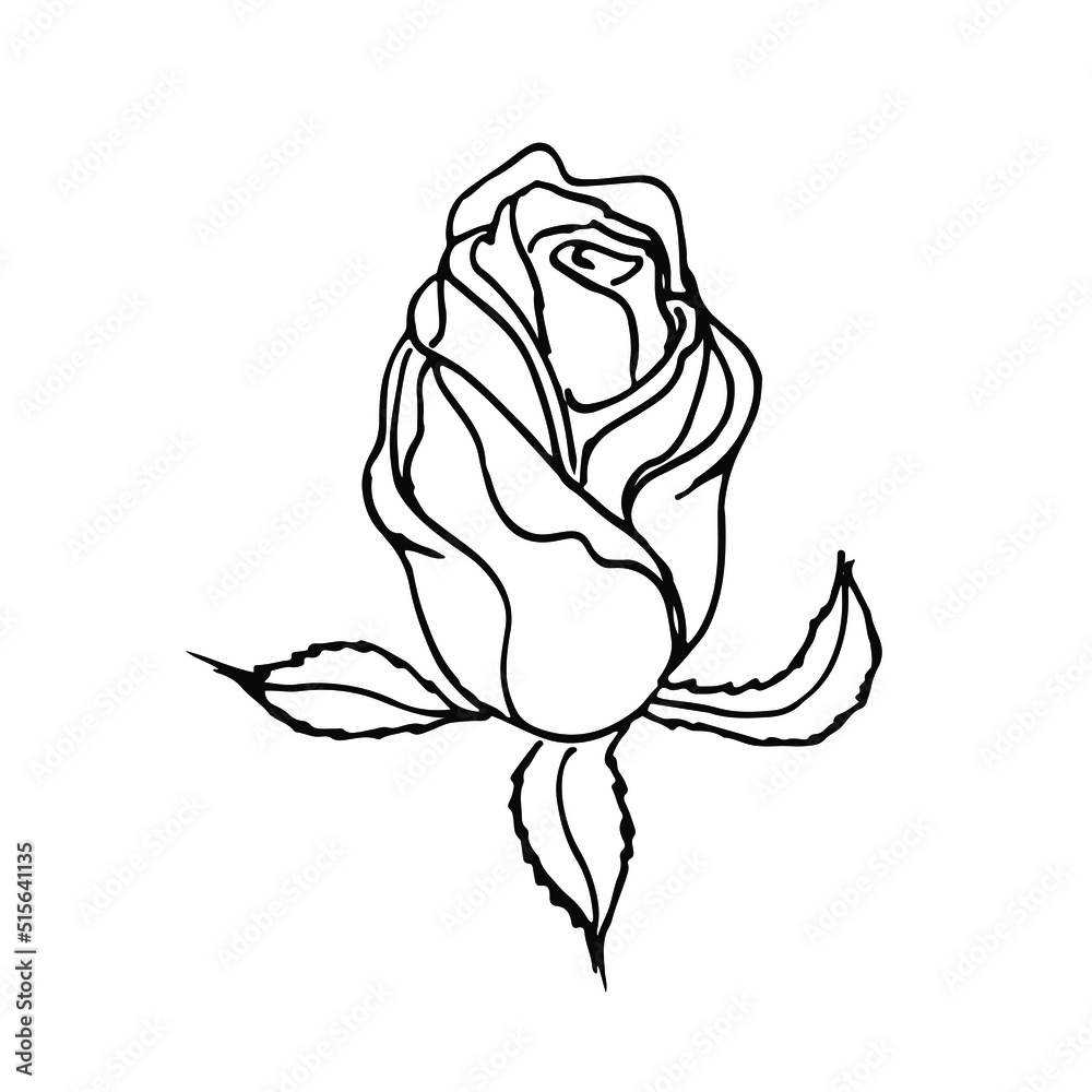 Hand drawn rose, line art. Vector doodle illustration Hand drawn rose, line art. Vector doodle illustration